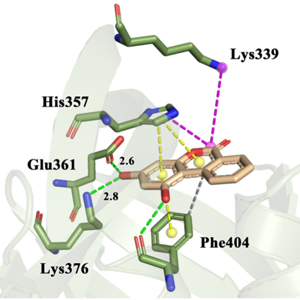 PyMOL